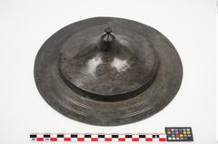 Foto von Bronzephalere (NHMW-PRAE-025108)